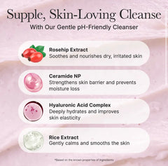 Arencia - Rosehip Mild pH Balancing Rice Cake Cleanser 150g