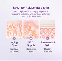 numbuzin - No.9 NAD Bio Lifting-sil Essence 50ml