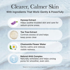 Arencia - Hyssop Sebum Control Rice Cake Cleanser 150g