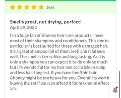 ViCREA - &honey Creamy EX Damage Repair Shampoo 1.0 450g