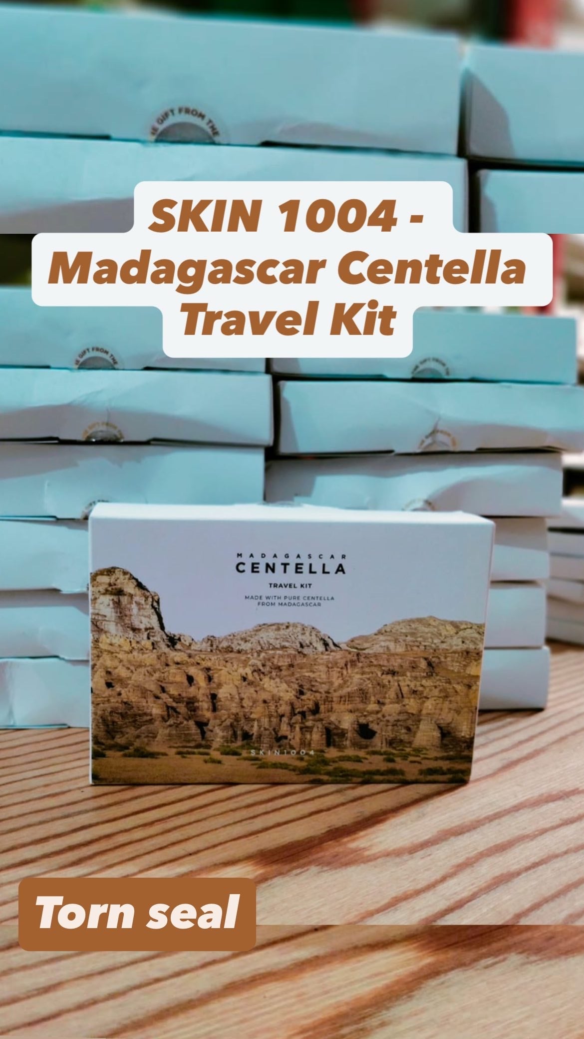 توالف الشحن - Skin 1004 Travel Kit