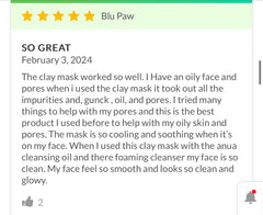 Anua - Heartleaf Pore Clay Pack 100ml