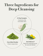 FULLY - Green Tomato Clay Pack Cleanser 120ml